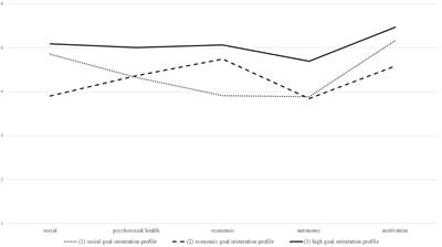 Social or Economic Goals? The Professional Goal Orientation of Students Enrolled in STEM and Non-STEM Majors in University